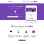Landing Page Example 2
